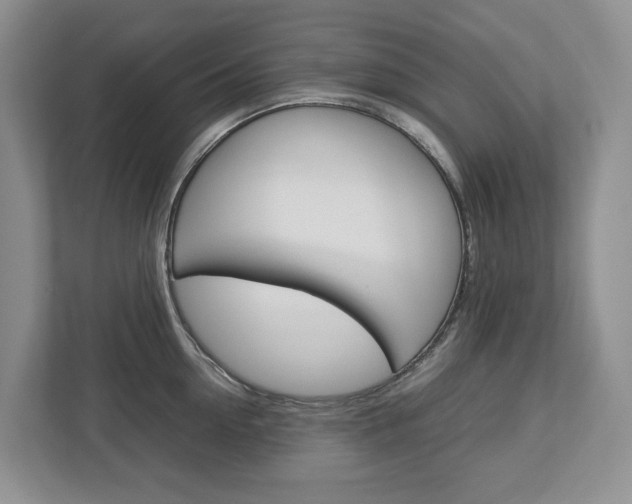 X0000113010954200908270937