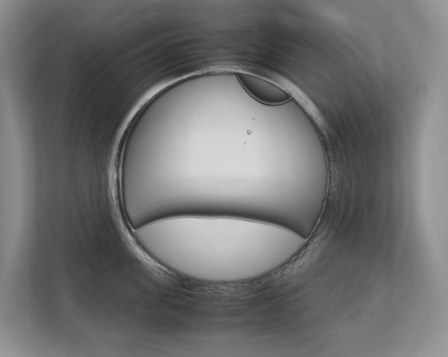 X0000113010955200908270937