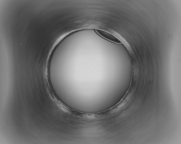 X0000113010956200908270937
