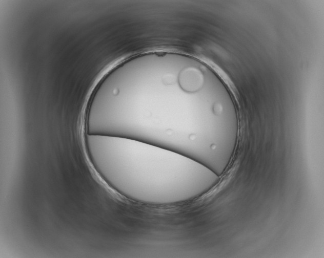X0000113010957200908270937