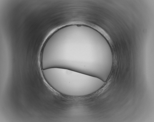 X0000113010958200908270937