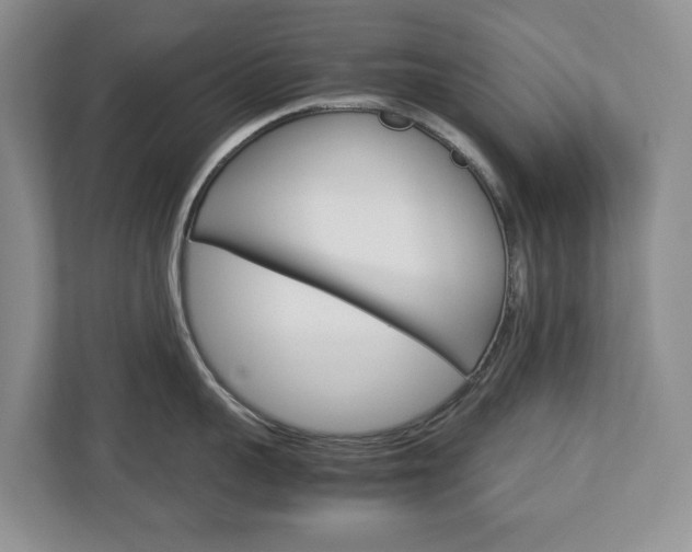 X0000113010959200908270937