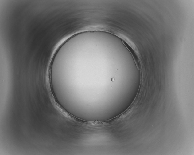 X0000113010960200908270937