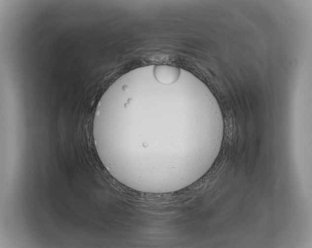 X0000113010962200908270936