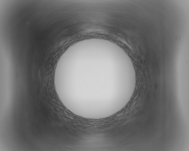 X0000113010965200908270936