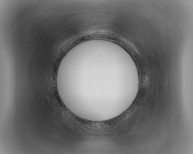 X0000113010966200908270936