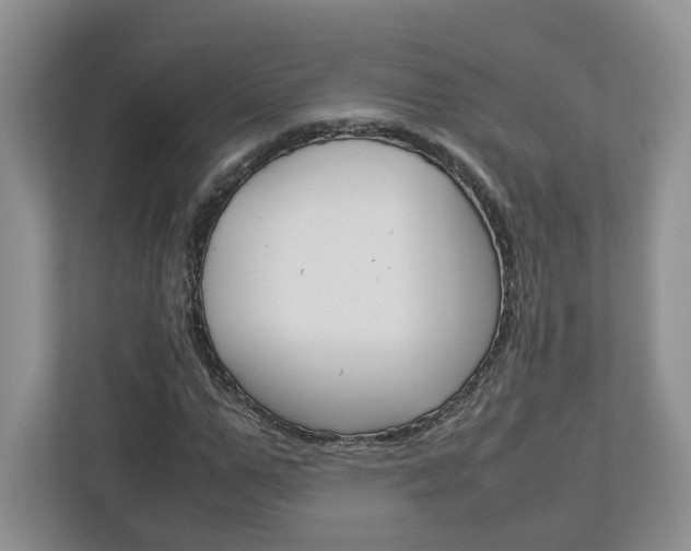X0000113010967200908270936