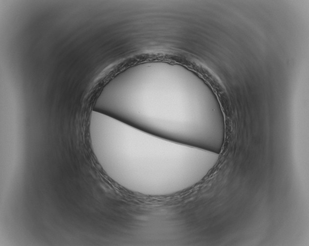 X0000113010968200908270936