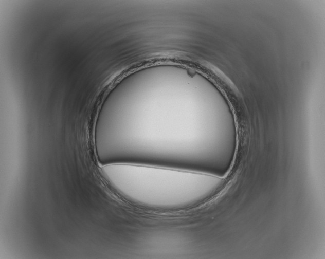 X0000113010969200908270936