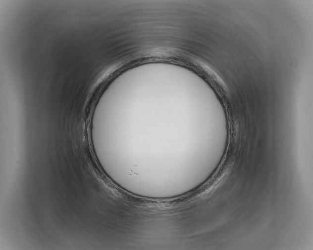 X0000113010970200908270936