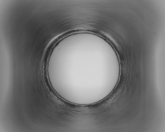 X0000113010971200908270936