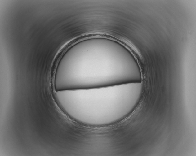 X0000113010972200908270936
