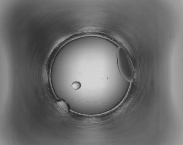 X0000113010973200908270936