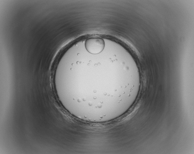 X0000113010974200908270936