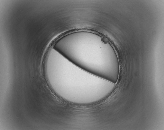 X0000113010975200908270936