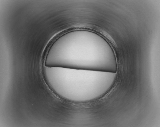 X0000113010976200908270936