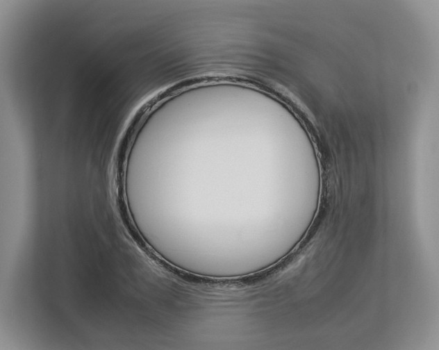 X0000113010979200908270936