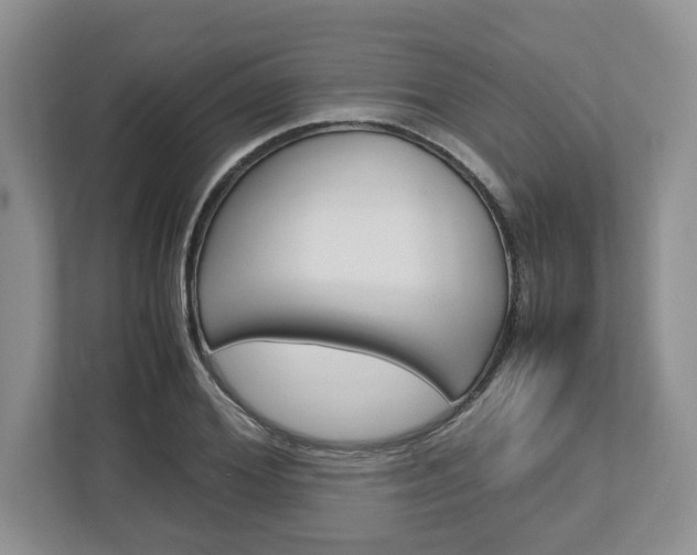 X0000113010980200908270936