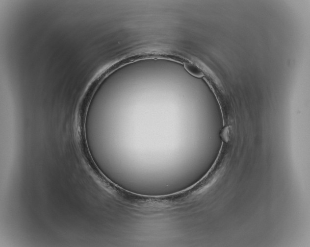 X0000113010981200908270936