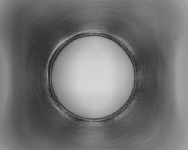 X0000113010982200908270936