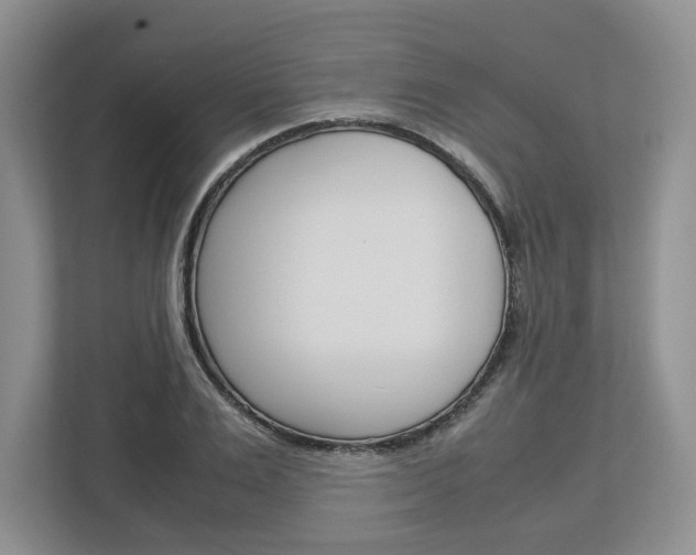 X0000113010983200908270936