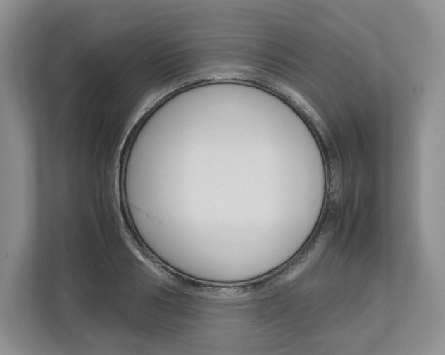 X0000113010986200908270936