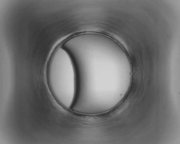 X0000113010987200908270936