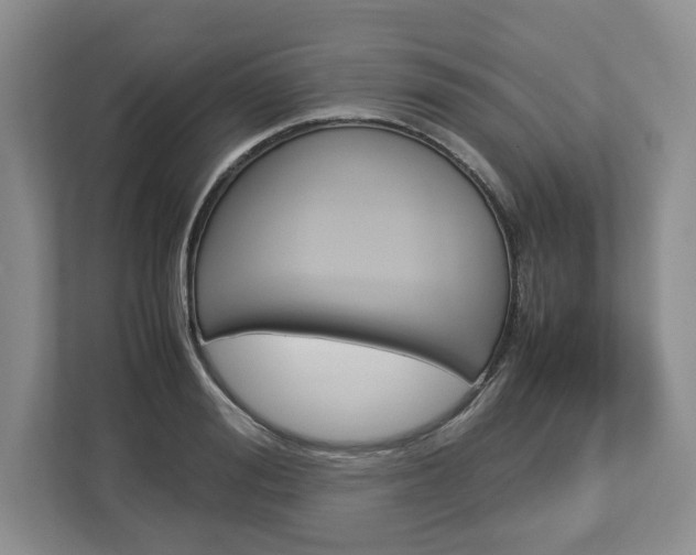 X0000113010988200908270936