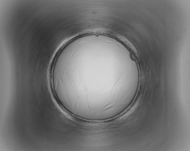 X0000113010989200908270936
