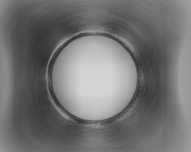 X0000113010990200908270936