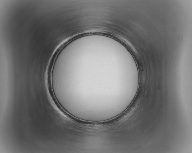 X0000113010991200908270936