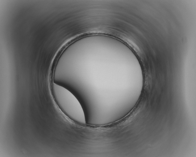 X0000113010992200908270936