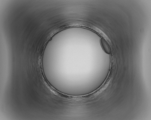 X0000113010993200908270936