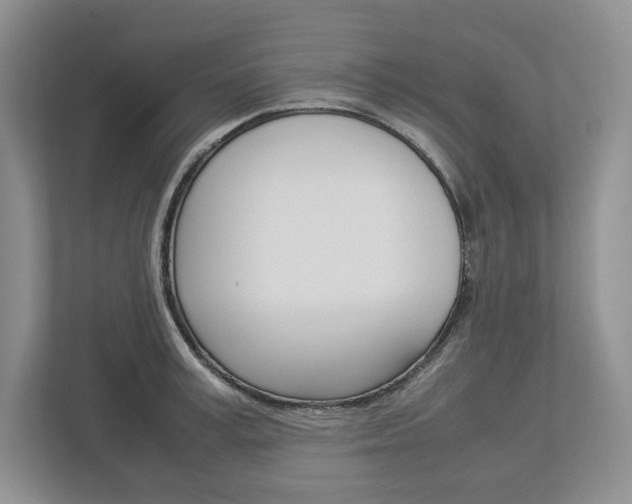 X0000113010995200908270936