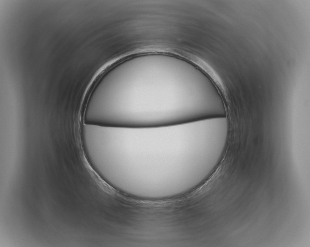 X0000113010996200908270936