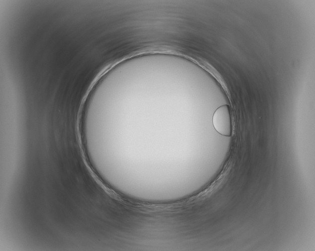 X0000113010997200908270936