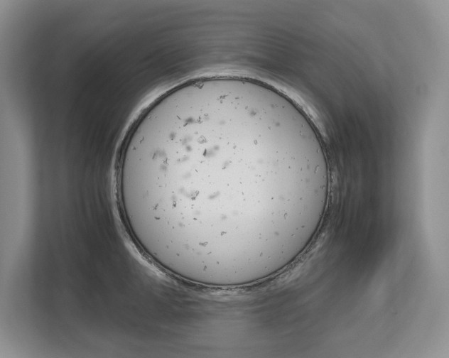 X0000113010998200908270936