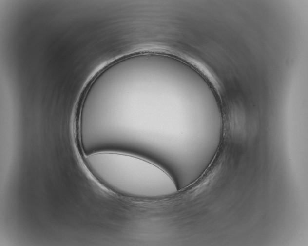 X0000113010999200908270936