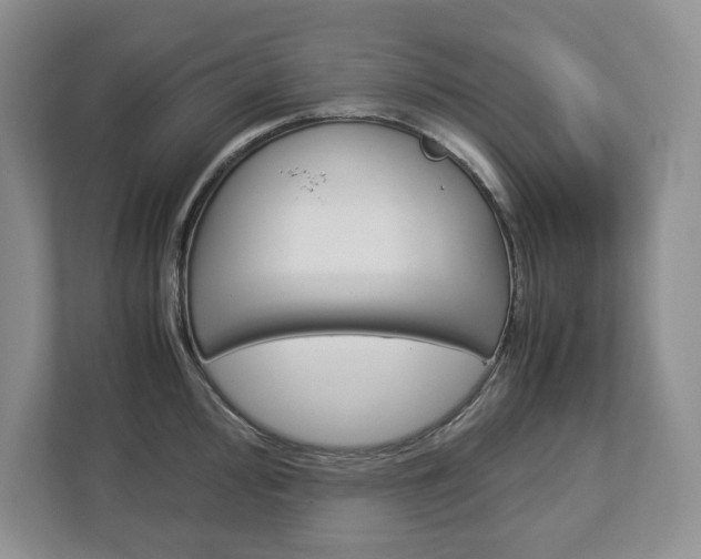 X0000113011000200908270936
