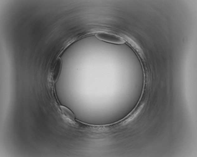 X0000113011001200908270936
