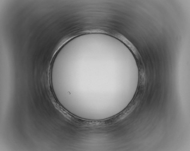 X0000113011002200908270936