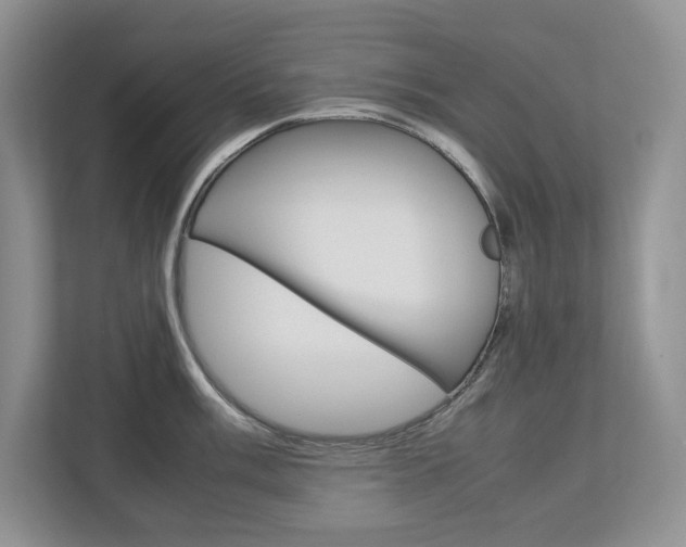 X0000113011003200908270936