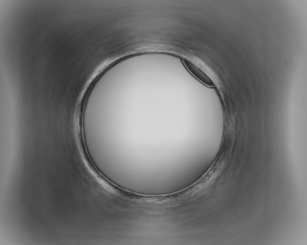 X0000113011005200908270936