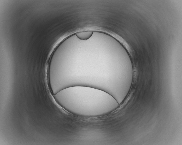 X0000113011006200908270936