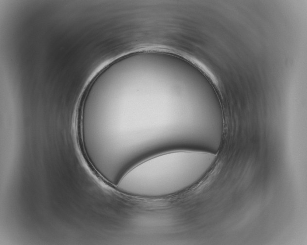 X0000113011007200908270936