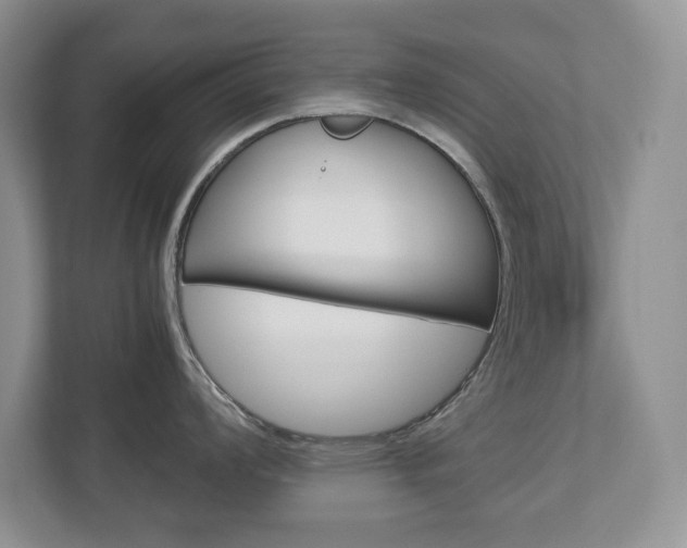 X0000113011008200908270936
