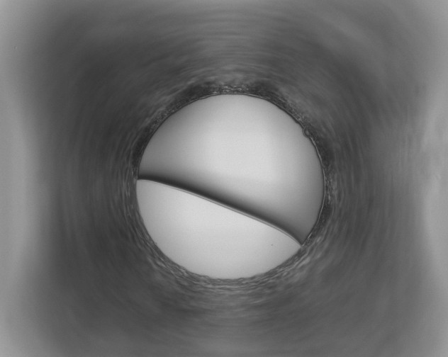 X0000113011010200908270935