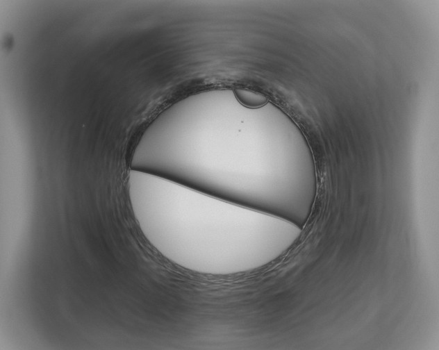 X0000113011012200908270935