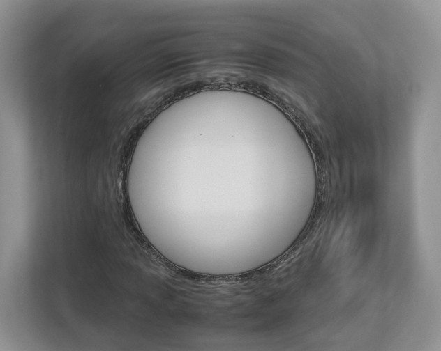 X0000113011013200908270935