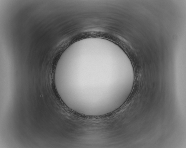X0000113011014200908270935
